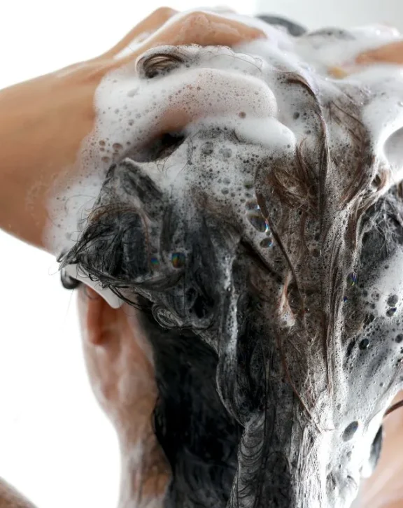 Shop - Sub Collection